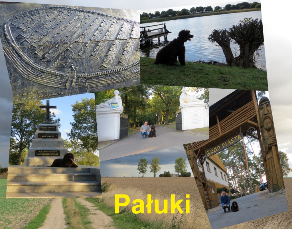 paluki1