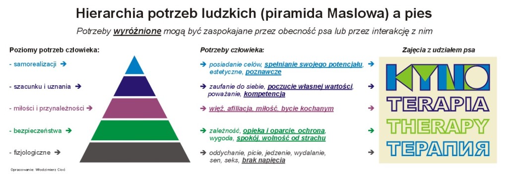 Pies a potrzeby czlowieka