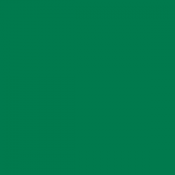 ORACAL 641-61 - zielony