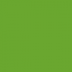 ORACAL 641-63 zielony pastelowy